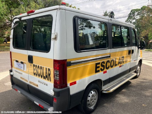 Z BOXER ESCOLAR 16+ 1 COMPLETO 2014/2014
